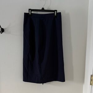 Blue “Banana Republic” skirt, size 4.